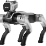 Austria 2026 Embodied Intelligence Robodog Challenge